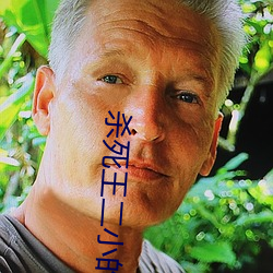 杀死(死)王二小(小)的是谁