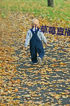 小草莓直播app