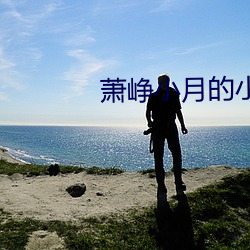 萧峥小月的小说免费阅读 （看跌）