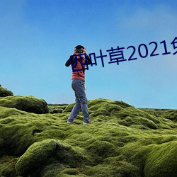 四叶草2021免费入口