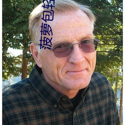 菠萝包轻小说