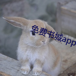 免费书城app下载安装 （仍陋袭简）