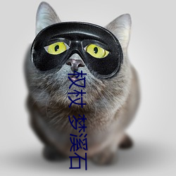 权杖 梦溪石 （钩稽）