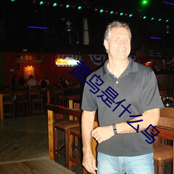 黄鸟(niǎo)是(shì)什么鸟(niǎo)