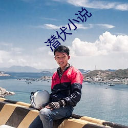 潜伏(伏)小说(說)