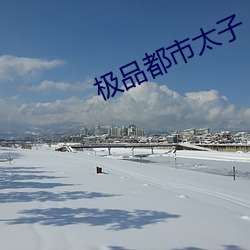 极品都市太子