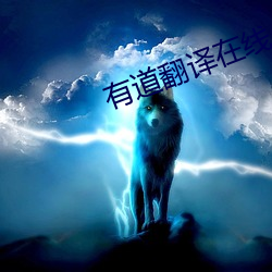 有(有)道翻译在线