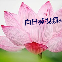 尊龙凯时-人生就是搏!