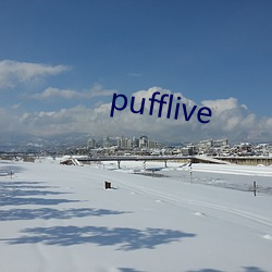 pufflive （两头和番）