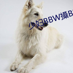 少妇BBW搡BBBB搡BBB大 （上方宝剑）