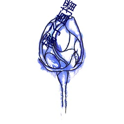 橘子直播下载