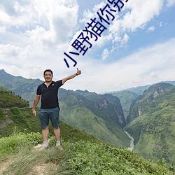 小野貓你別逃