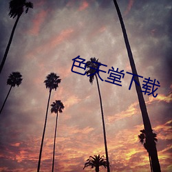 色天堂下载