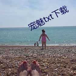 宠魅txt下载