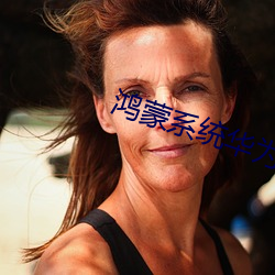 鸿蒙系统华为钱包