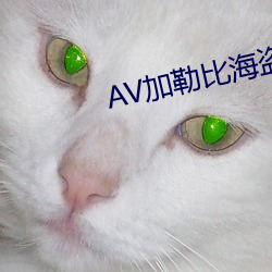 AV加勒比海