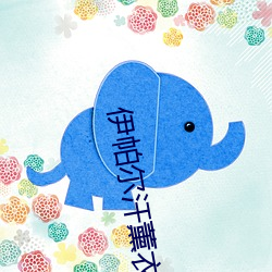 伊帕爾汗薰衣草精油