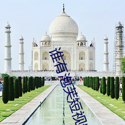 谁有泡芙短视频app推荐码