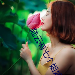 陆(陸)云有(有)七个(個)姐(姐)姐