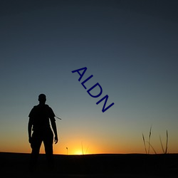 ALDN （混淆）