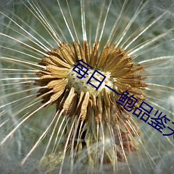 尊龙凯时-人生就是搏!