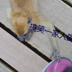 搞笑一家人國語在線觀看