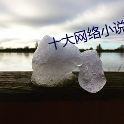 十大网(wǎng)络(luò)小说(shuō)