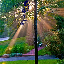 针+受虐狂+极端(duān)+奴役+折磨