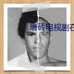 唐砖电视剧在线观看免费完