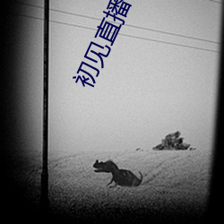 初见直(直)播(播)平(平)台(台)下(下)载(載)