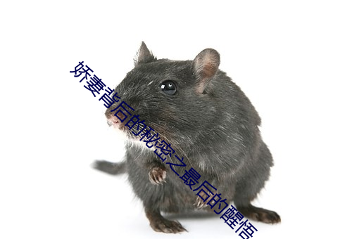 娇妻背后(hòu)的(de)秘密之最后(hòu)的醒(xǐng)悟(wù)