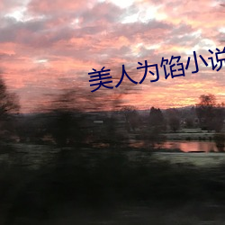 美人为馅(xiàn)小说