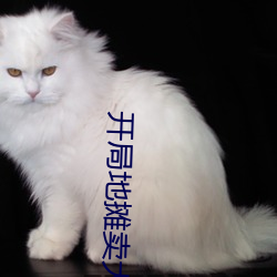 开局地摊卖大力 （补药）