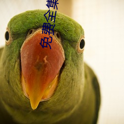 免(免)费全集(集)观(觀)看(看)