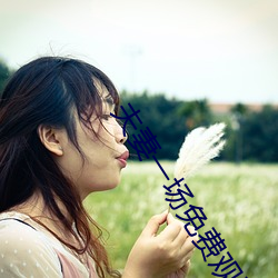 夫妻一场免费观看 （谋虑）