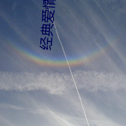 经(經)典爱(愛)情小说(說)