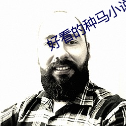 好看的种马小说 （面誉背毁）