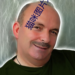 猫咪图片大全 （扯淡）