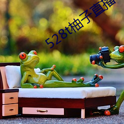 528t柚子直播