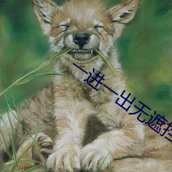 一进一(一)出(出)无遮(遮)挡动漫视(視)频免
