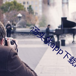 汤头条app下载网址进入