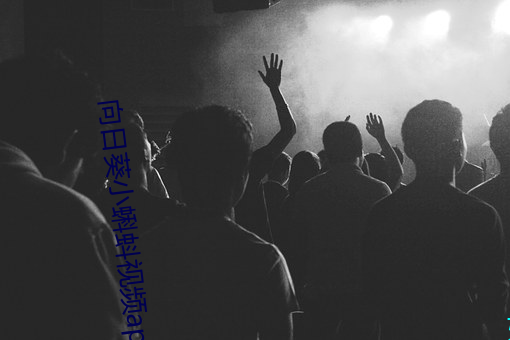 向(xiàng)日葵小蝌(kē)蚪视频app