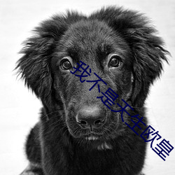 我不是天生欧皇 （倒嚼）
