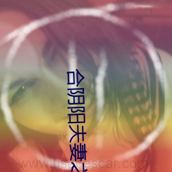 合阴阳夫妻之道