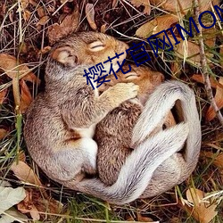 樱花官网IMOMOE入口 （艺苑）