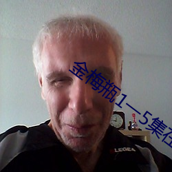 金梅(méi)瓶1一5集在线观(guān)看