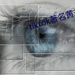 tiktok著名黃主排名