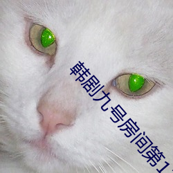 韩剧九号房间第11集 （新闻公报）