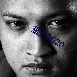 重生2020