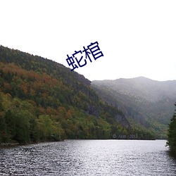 蛇棺(guān)